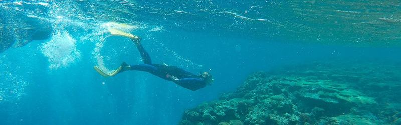 Give Scuba Diving A Go